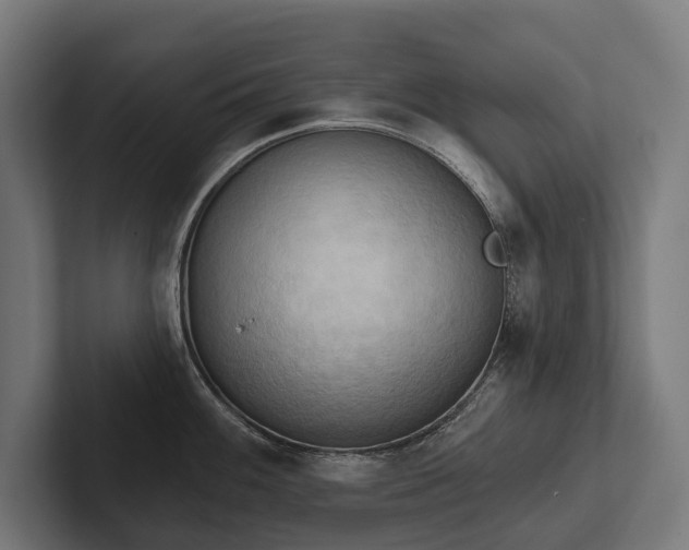 X0000102401100200808011541