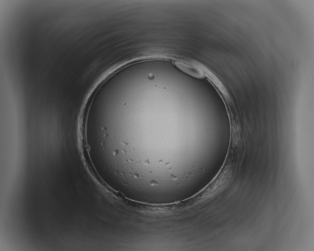 X0000102401101200808011541