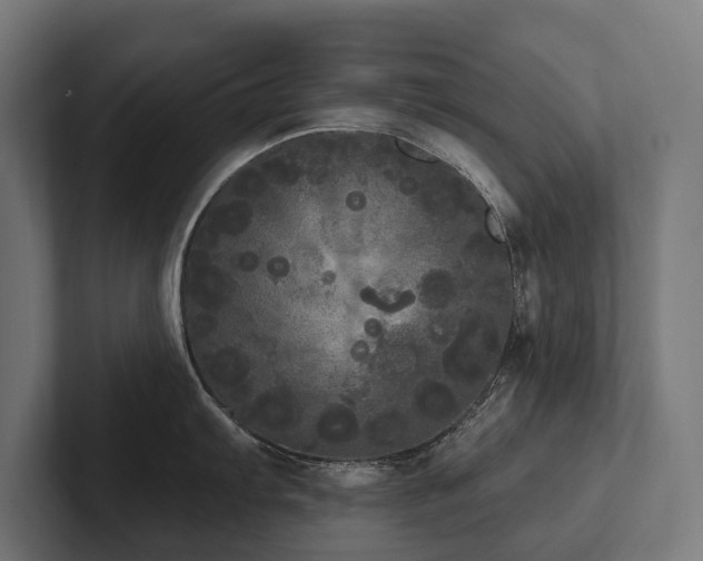 X0000102401103200808011541