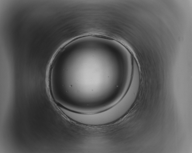 X0000102401104200808011541