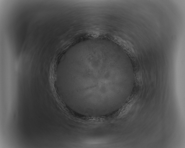 X0000102401105200808011541