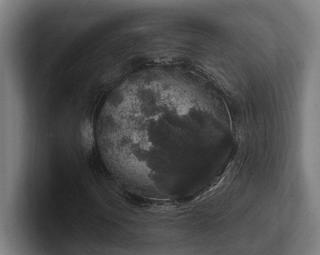 X0000102401106200808011541