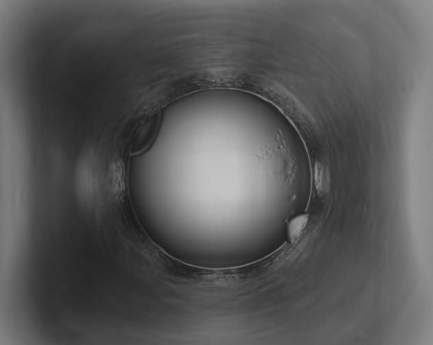 X0000102401107200808011541