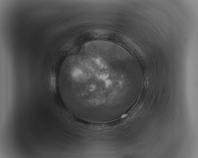 X0000102401108200808011541