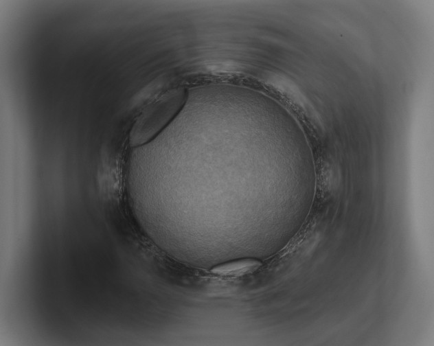 X0000102401110200808011541