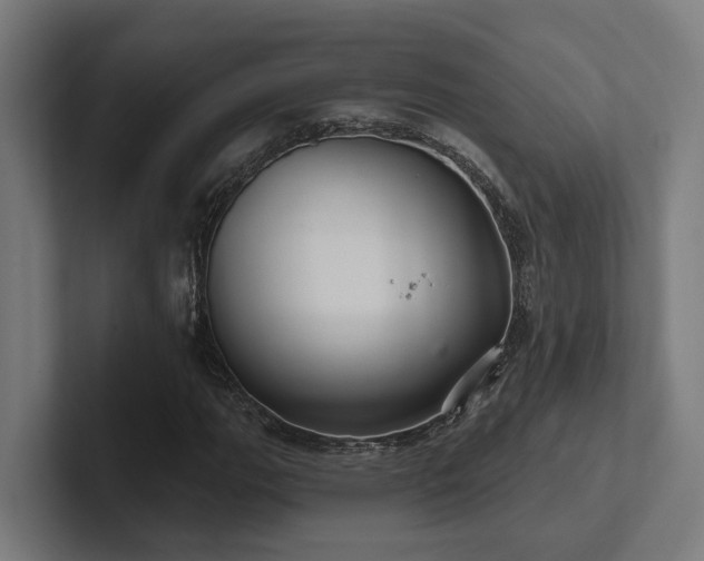 X0000102401111200808011541