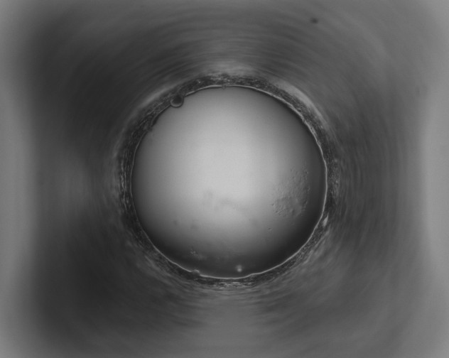X0000102401112200808011541