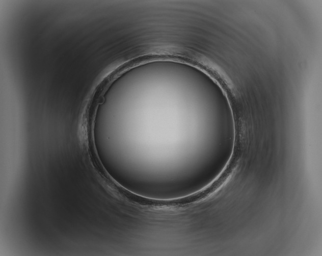 X0000102401114200808011541