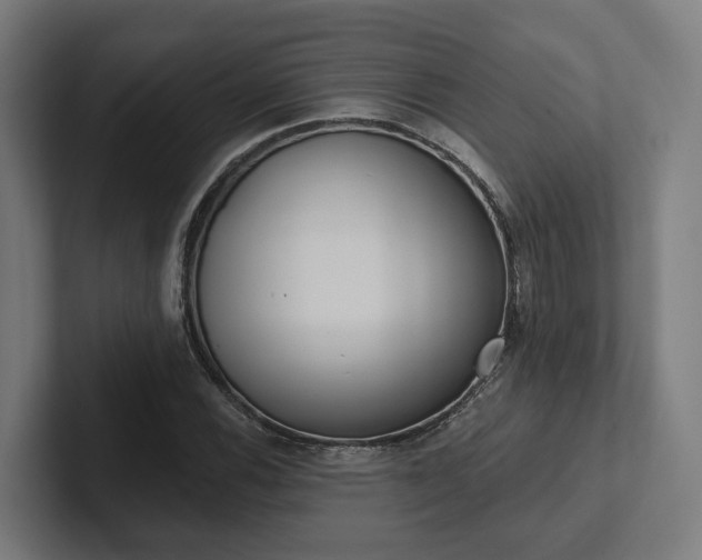 X0000102401116200808011541