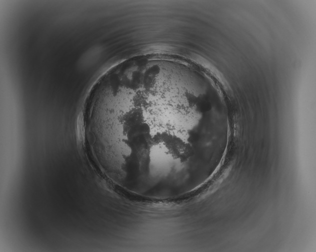 X0000102401117200808011541