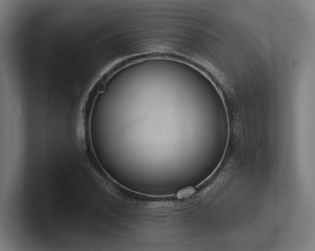 X0000102401118200808011541