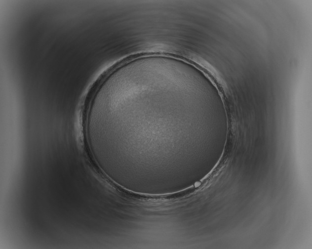 X0000102401120200808011541