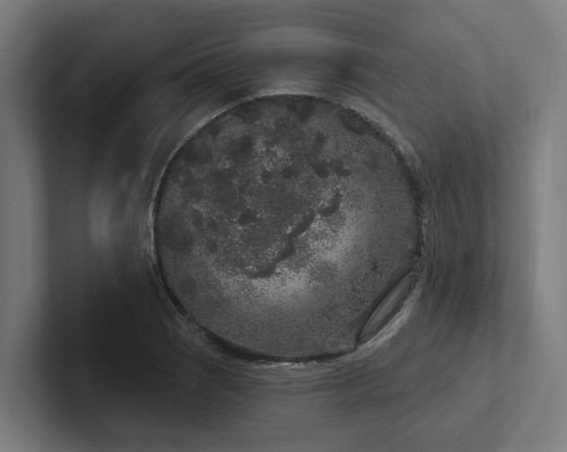 X0000102401121200808011541