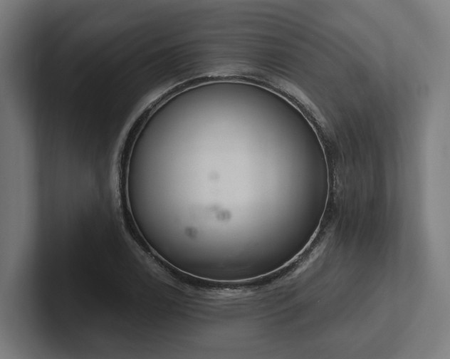 X0000102401122200808011541