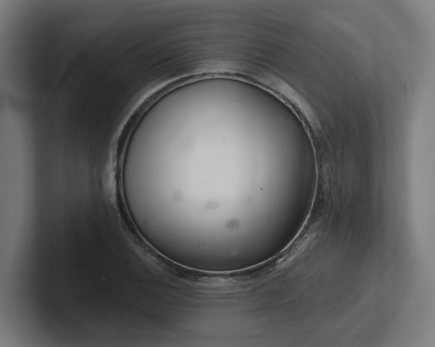 X0000102401124200808011541