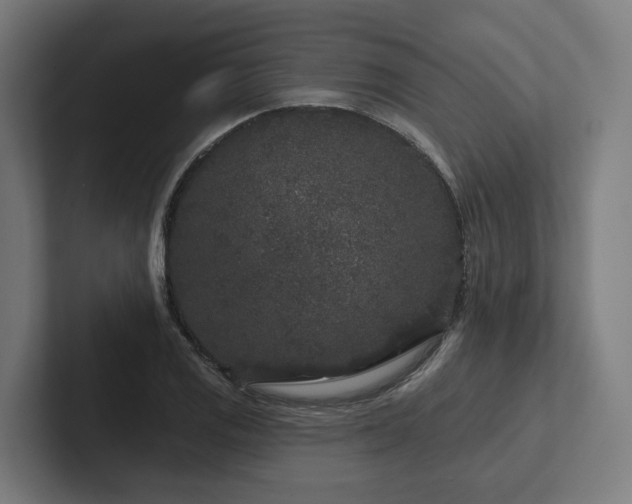 X0000102401125200808011541