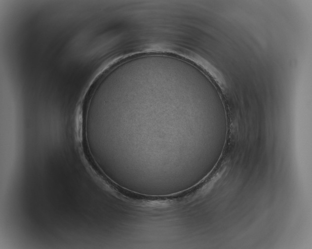 X0000102401126200808011541