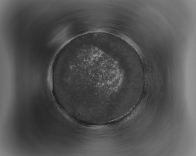 X0000102401127200808011541