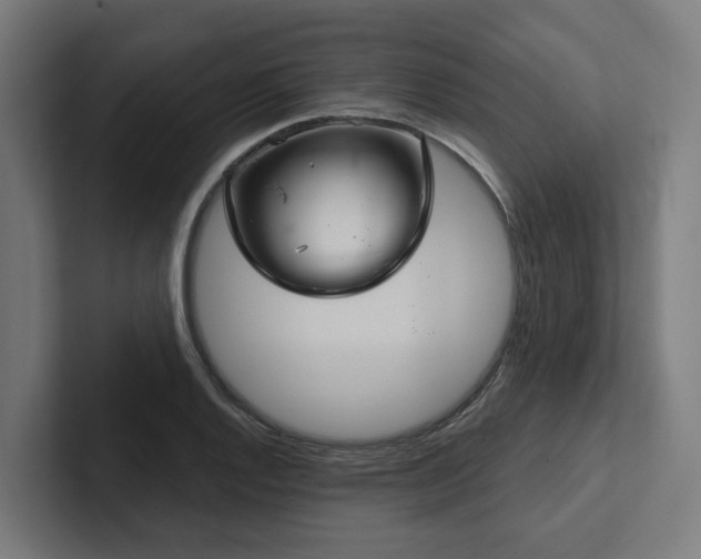 X0000102401128200808011541