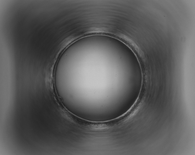 X0000102401129200808011541