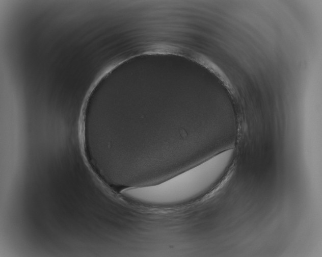 X0000102401130200808011541