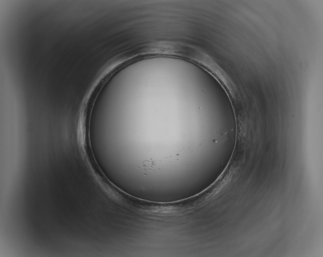 X0000102401131200808011541