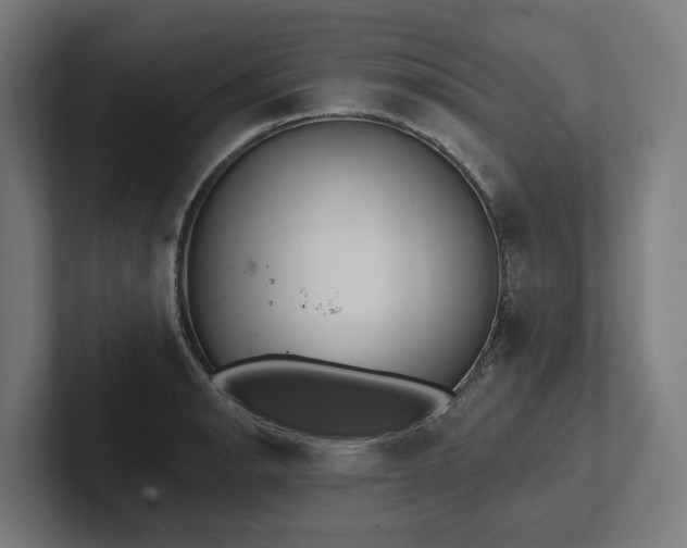X0000102401134200808011541