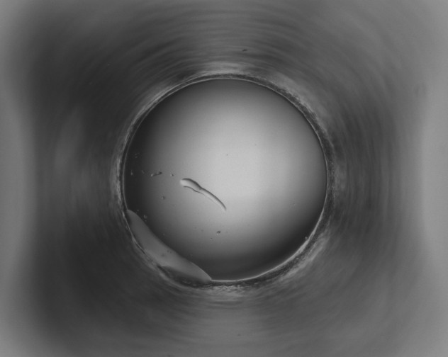 X0000102401137200808011541