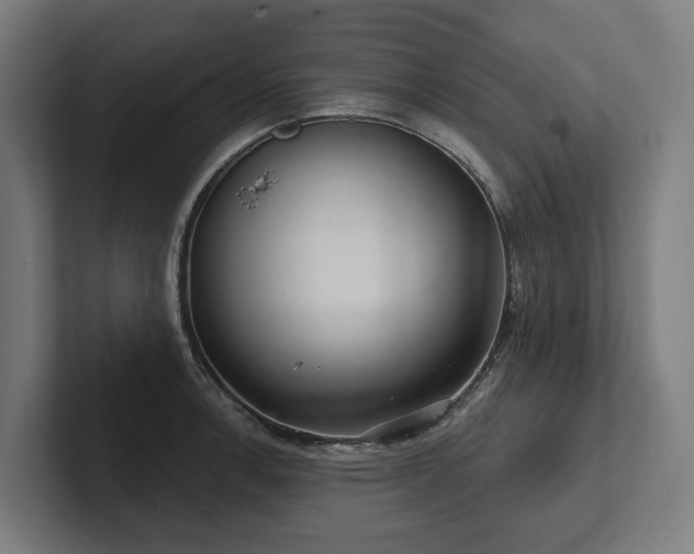 X0000102401138200808011541