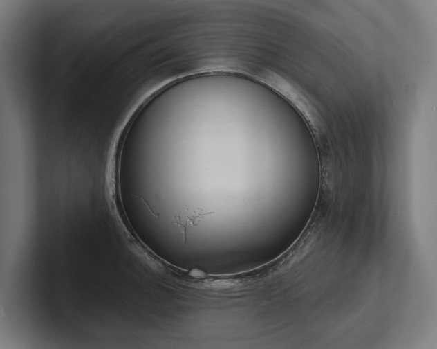 X0000102401140200808011541