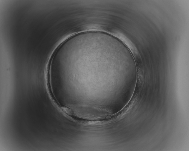 X0000102401142200808011541