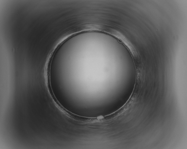 X0000102401143200808011541