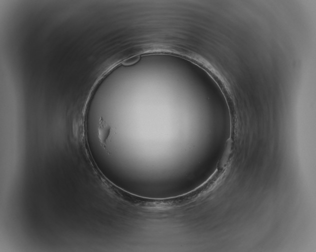 X0000102401145200808011541