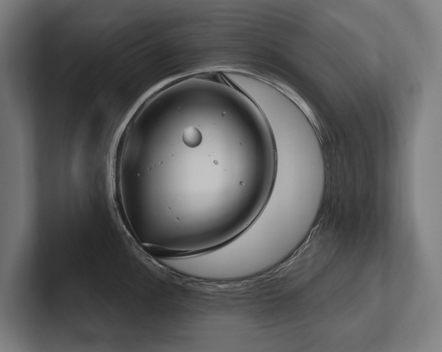 X0000102401148200808011541