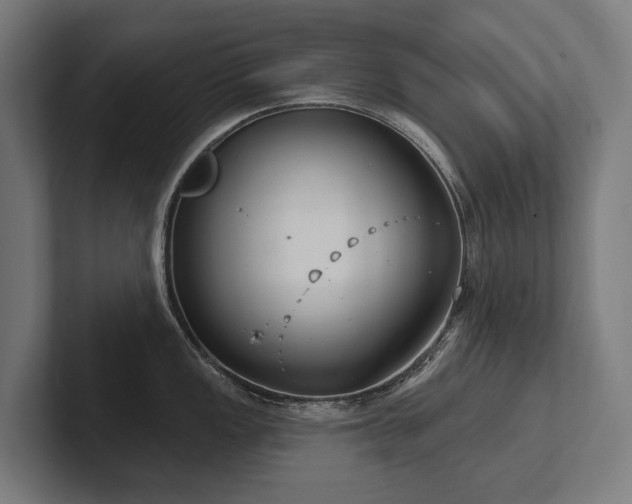 X0000102401149200808011541