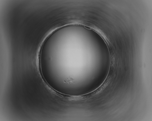 X0000102401151200808011541