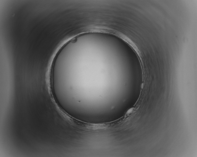 X0000102401152200808011541