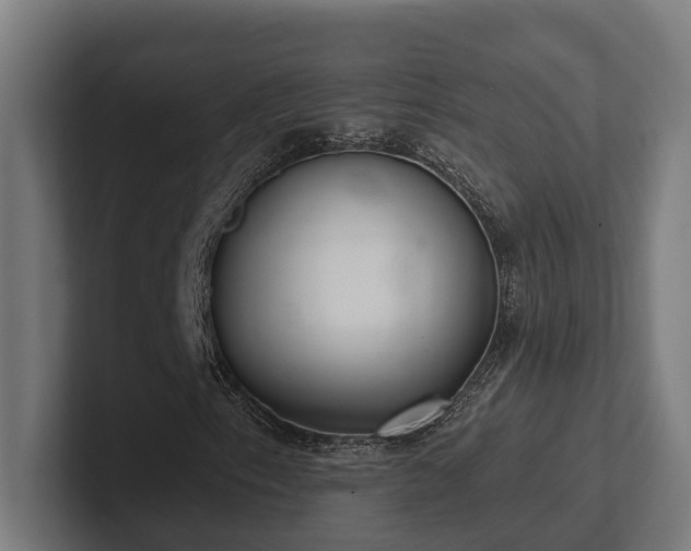 X0000102401153200808011541