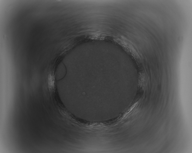 X0000102401154200808011541