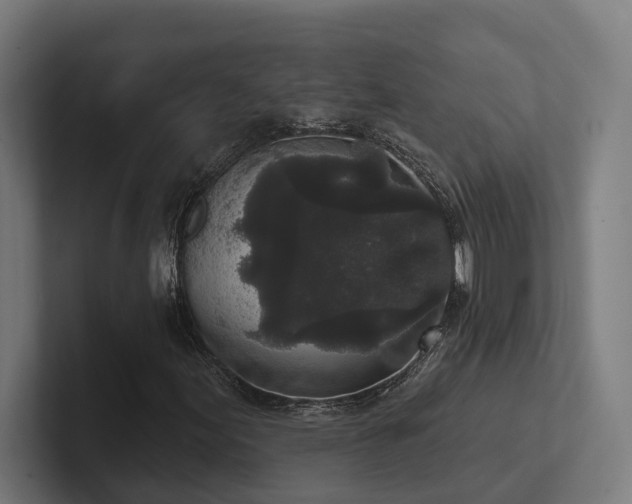 X0000102401155200808011541
