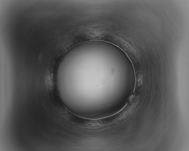 X0000102401156200808011541