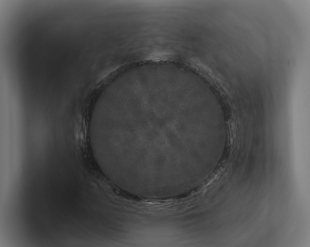 X0000102401158200808011541