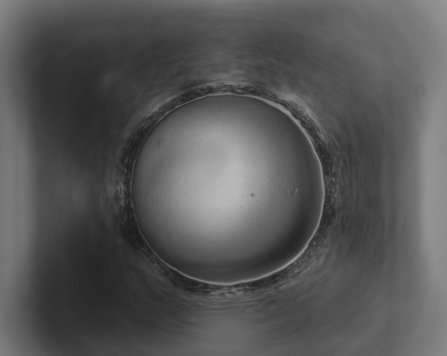 X0000102401159200808011541