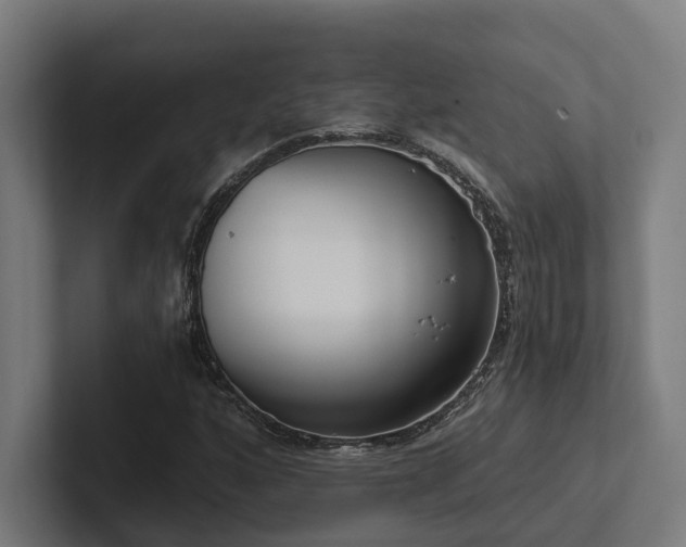 X0000102401160200808011541