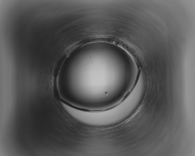 X0000102401161200808011541