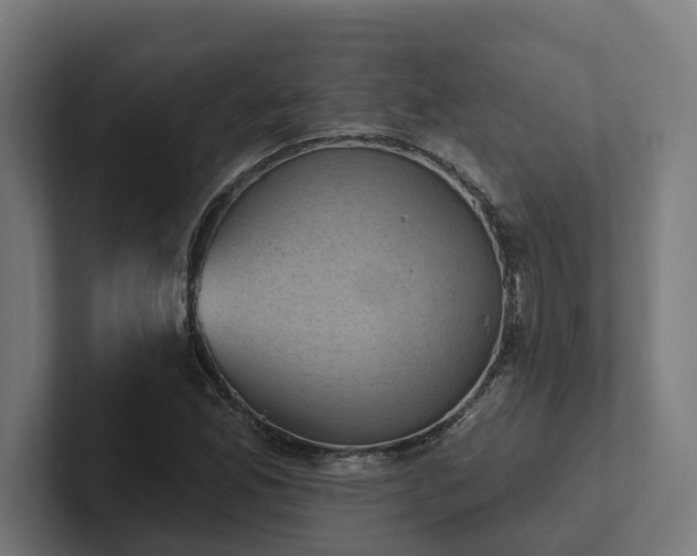 X0000102401165200808011541