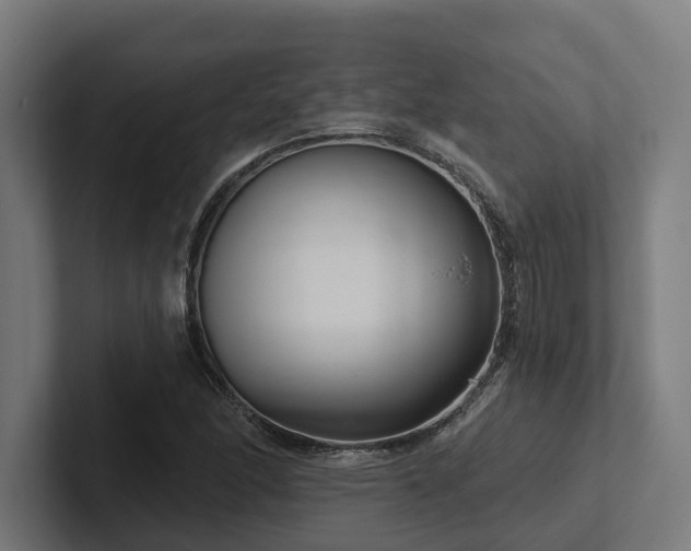 X0000102401166200808011541
