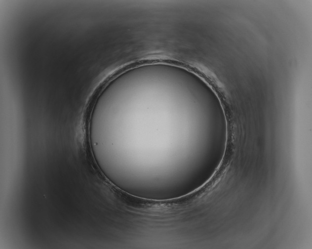 X0000102401167200808011541