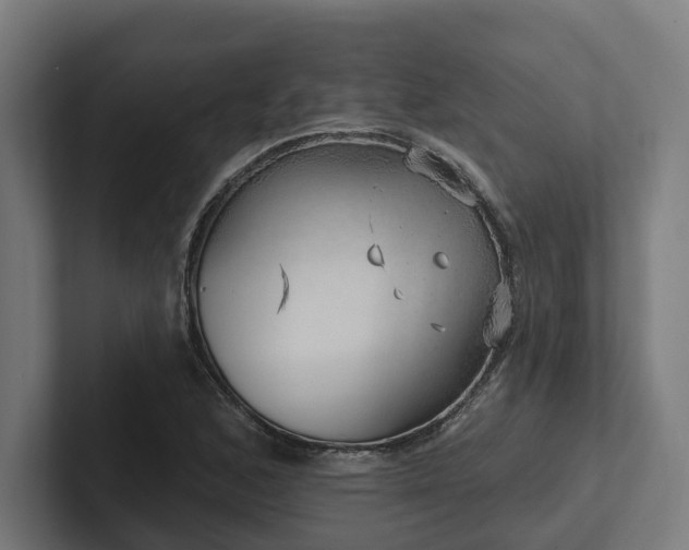 X0000102401168200808011541