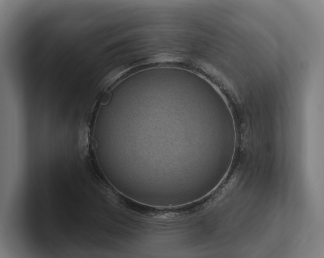 X0000102401169200808011541